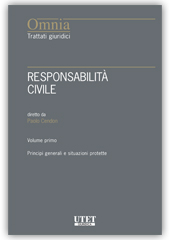Responsabilita Civile 