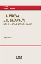 La Prova e il Quantum nel risarcimento del danno 469898