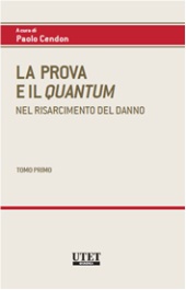 La Prova e il Quantum nel risarcimento del danno 469898